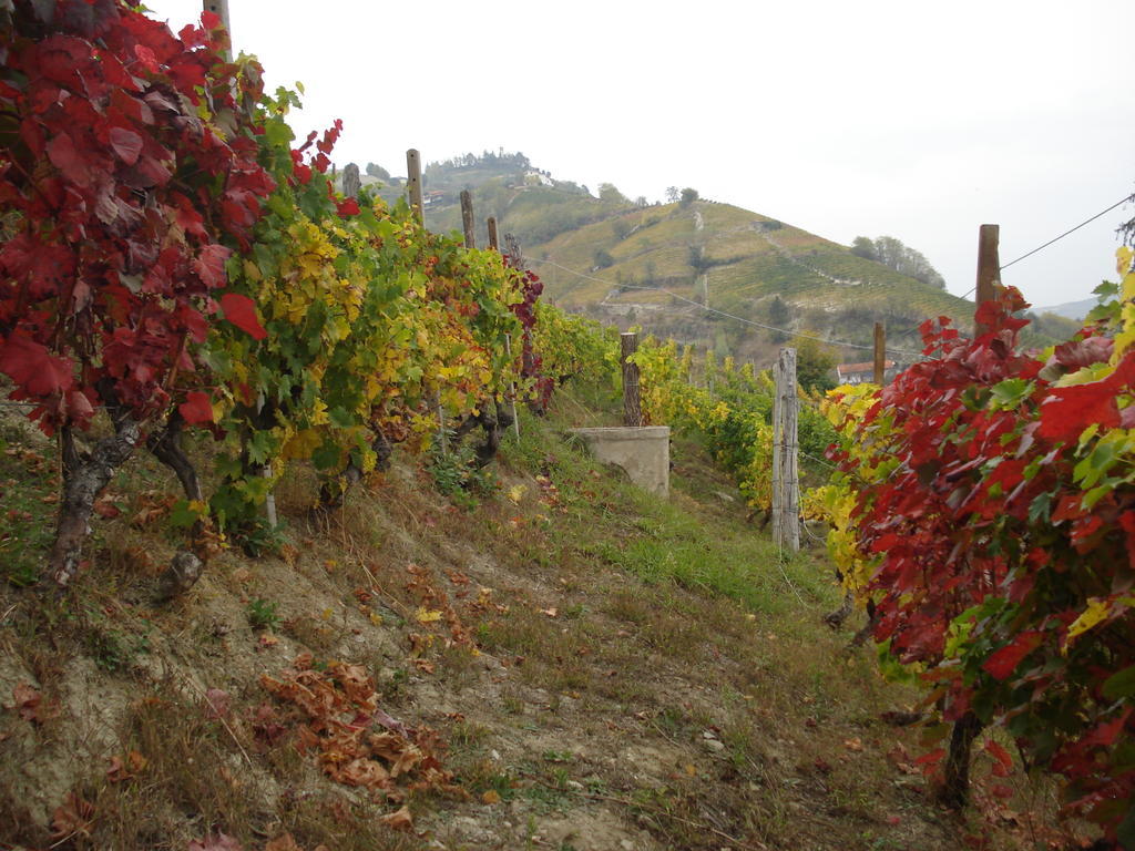 Agriturismo Cascina L'Arche Santo Stefano Belbo Eksteriør billede