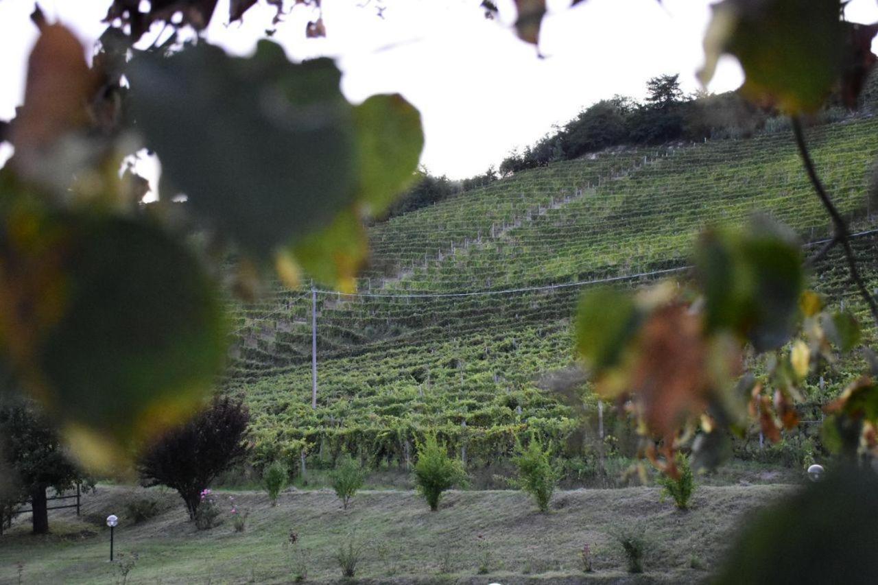 Agriturismo Cascina L'Arche Santo Stefano Belbo Eksteriør billede